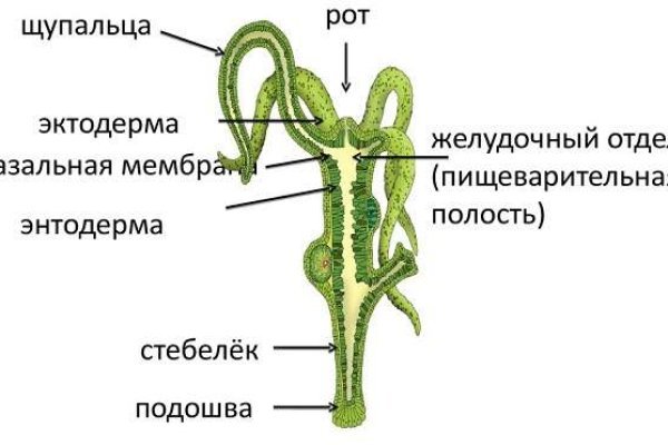 Кракен купить в москве порошок