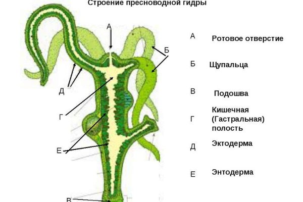 Кракен как войти через тор