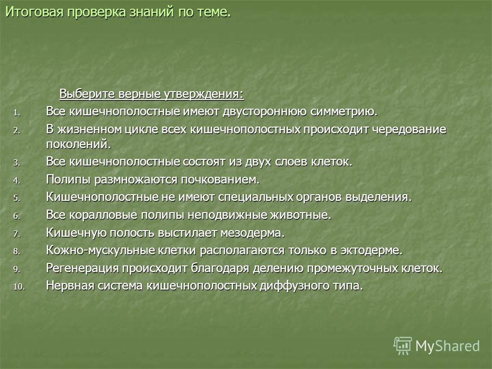 Как восстановить доступ к аккаунту кракен